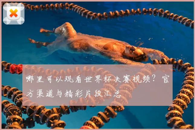 哪里可以观看世界杯决赛视频？官方渠道与精彩片段汇总